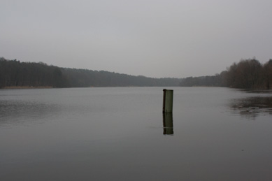 Griebnitzsee in winter